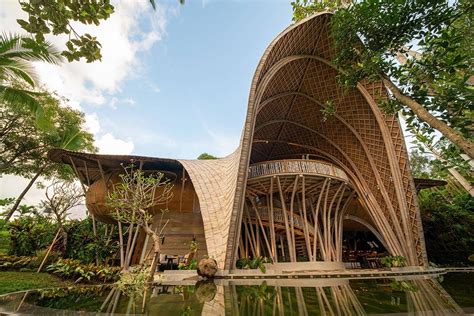  Designing Bamboo Structures: A Sustainable Approach - Ein symphonisches Meisterwerk der Natur und Ingenieurskunst!